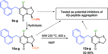 Graphical abstract: Microwave-assisted decarboxylation of bicyclic 2-pyridone scaffolds and identification of Aβ-peptide aggregation inhibitors