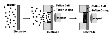 Graphical abstract: Nafion-stabilized magnetic nanoparticles (Fe3O4) for [Ru(bpy)3]2+ (bpy = bipyridine) electrogenerated chemiluminescence sensor