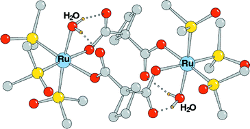 Graphical abstract: The unprecedented bridging coordination mode of 1,1-cyclobutane dicarboxylate (μ-cbdc-O,O′) stabilized by intramolecular hydrogen bonds in ruthenium(ii) complexes