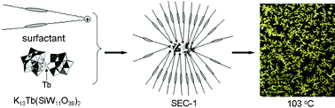 Graphical abstract: A surfactant-encapsulated polyoxometalate complex towards a thermotropic liquid crystal