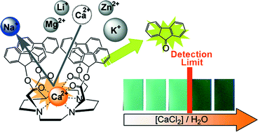 Graphical abstract: Visual sensing of Ca2+ ion via photoreaction of fluorenyl ester-armed cyclen