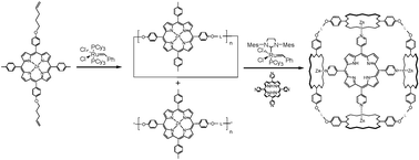 Graphical abstract: Dynamic combinatorial olefin metathesis: templated synthesis of porphyrin boxes