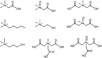 Graphical abstract: Photochemical alkylation of inorganic arsenic Part 2. Identification of aqueous phase organoarsenic species using multidimensional liquid chromatography and electrospray mass spectrometry