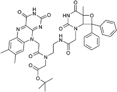 Graphical abstract: (6-4)-Photolyase activity requires a charge shift reaction