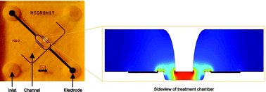 Graphical abstract: A new pulsed electric field microreactor: comparison between the laboratory and microtechnology scale