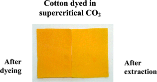 Graphical abstract: Excellent dye fixation on cotton dyed in supercritical carbon dioxide using fluorotriazine reactive dyes