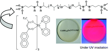 Graphical abstract: Structure–photoluminescence relationship in Eu(iii) β-diketonate-based organic–inorganic hybrids. Influence of the synthesis method: carboxylic acid solvolysis versus conventional hydrolysis