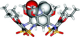 Graphical abstract: Macrocyclic aromatic tetrasulfonamides with a stable cone conformation