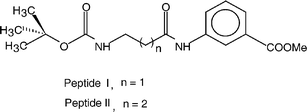 Graphical abstract: β-Sheet mediated self-assembly of dipeptides of ω-amino acids and remarkable fibrillation in the solid state