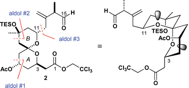 Graphical abstract: The stereocontrolled total synthesis of altohyrtin A/spongistatin 1: the AB-spiroacetal segment