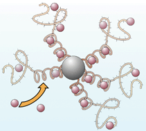 Graphical abstract: Graphite powder derivatised with poly-l-cysteine using “building-block” chemistry—a novel material for the extraction of heavy metal ions