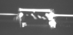 Graphical abstract: CFD analysis of paramagnetic particle containment in microwells