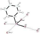 Graphical abstract: A comparison of the solid state structures of the selenium(iv) compounds PhSeX3 (X = Cl, Br)
