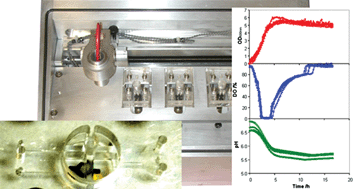 Graphical abstract: Development of a multiplexed microbioreactor system for high-throughput bioprocessing
