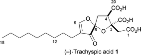 Graphical abstract: Enantiospecific synthesis of (−)-trachyspic acid