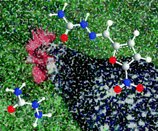 Graphical abstract: Nitrofurazone accumulates in avian eyes—a replacement for semicarbazide as a marker of abuse