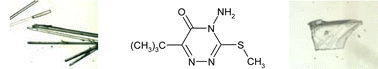 Graphical abstract: Exploring polymorphism by solvent mediation in potentially active herbicide Metribuzin: A subtle interplay of weak intermolecular interactions