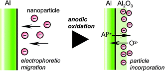 Graphical abstract: Incorporation of oxide nanoparticles into barrier-type alumina film via anodic oxidation combined with electrophoretic deposition
