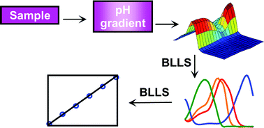Graphical abstract: Evaluation of complex spectral-pH three-way arrays by modified bilinear least-squares: determination of four different dyes in interfering systems