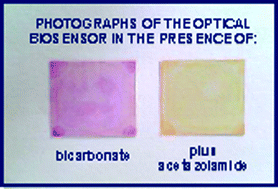 Graphical abstract: Flow-through sol–gel optical biosensor for the colorimetric determination of acetazolamide