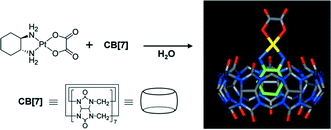 Graphical abstract: Novel molecular drug carrier: encapsulation of oxaliplatin in cucurbit[7]uril and its effects on stability and reactivity of the drug