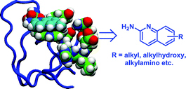 Graphical abstract: Synthesis of 5-, 6- and 7-substituted-2-aminoquinolines as SH3 domain ligands