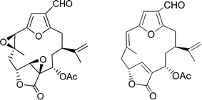 Graphical abstract: Synthetic studies towards furanocembrane diterpenes. A total synthesis of bis-deoxylophotoxin