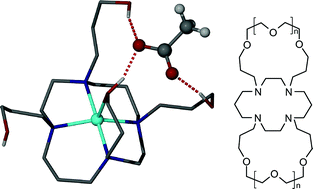 Graphical abstract: Anion and cation binding by a pendant arm cyclam and its macrobicyclic derivatives