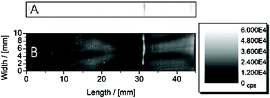 Graphical abstract: Detection of specific proteins by laser ablation inductively coupled plasma mass spectrometry (LA-ICP-MS) using gold cluster labelled antibodies