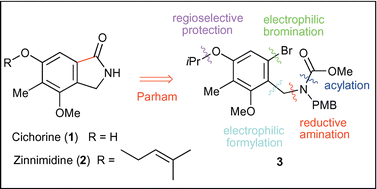 Graphical abstract: First total synthesis of cichorine and zinnimidine