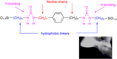 Graphical abstract: Structuring of bridged silsesquioxanes via cooperative weak interactions: H-bonding of urea groups and hydrophobic interactions of long alkylene chains