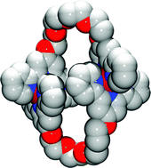 Graphical abstract: Formation of [2 + 2] diruthenium(ii) metallomacrocycles from ligands containing 2,2′:6′,2″-terpyridine domains linked through flexible polyethyleneoxy spacers