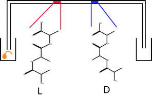 Graphical abstract: Measuring d-amino acid-containing neuropeptides with capillary electrophoresis