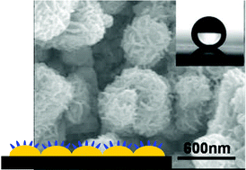 Graphical abstract: Fabrication of a bionic superhydrophobic metal surface by sulfur-induced morphological development