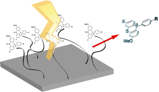 Graphical abstract: S(O)-Pixyl protecting group as efficient mass-tag