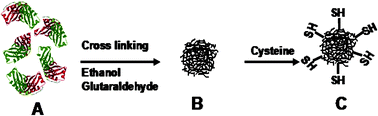 Graphical abstract: Enzyme nanoparticles-based electronic biosensor