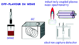 Graphical abstract: Optimisation of a two-dimensional on-line coupling for the determination of anisoles in wine using ECD and ICP-MS after SPME-GC separation