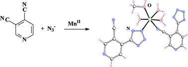 Graphical abstract: Synthesis and structures of 5-(pyridyl)tetrazole complexes of Mn(ii)