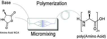 Graphical abstract: Controllable polymerization of N-carboxy anhydrides in a microreaction system