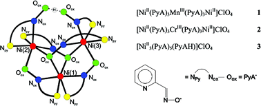 Graphical abstract: A magnetostructural study of linear NiIIMnIIINiII, NiIICrIIINiII and triangular NiII3 species containing (pyridine-2-aldoximato)nickel(ii) unit as a building block