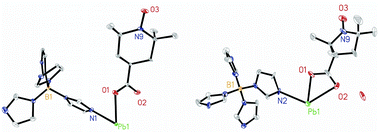 Graphical abstract: The assembly of organic radical anions between metal-borate scaffolds