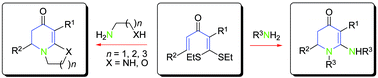 Graphical abstract: [5C + 1N] Annulation: a novel synthetic strategy for functionalized 2,3-dihydro-4-pyridones