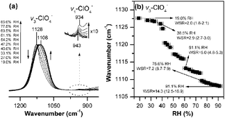 Graphical abstract: FTIR spectroscopic investigations of supersaturated NaClO4 aerosols