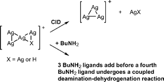 Graphical abstract: Gas phase synthesis and reactivity of Agn+ and Agn−1H+ cluster cations