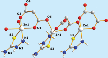 Graphical abstract: The structural influence of ligand coordination and hydrogen bonding capabilities in the crystal engineering of metal thiosemicarbazide compounds with malonate