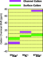 Graphical abstract: Solid-state 87Rb NMR signatures for rubidium cations bound to a G-quadruplex