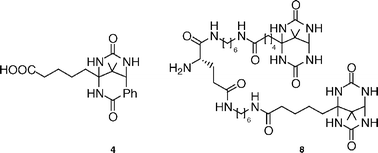 Graphical abstract: Divalent ligand for intramolecular complex formation to streptavidin