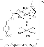 Graphical abstract: Immobilisation of electroactive macrocyclic complexes within titania films