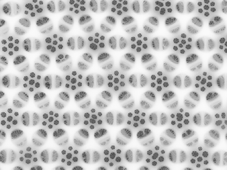 Graphical abstract: Biomimetic silica formation: Analysis of the phosphate-induced self-assembly of polyamines