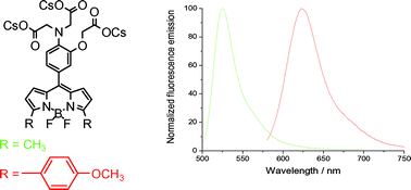 Graphical abstract: Synthesis and spectroscopic characterisation of BODIPY® based fluorescent off–on indicators with low affinity for calcium